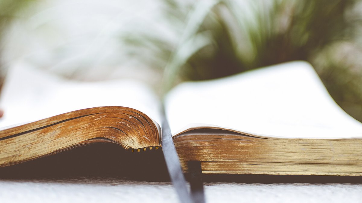 Fundo fotográfico: livro aberto